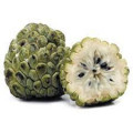 バンレイシ Annona Squamosa 2