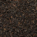 キーマン茶 Camellia Sinensis var. Sinensis 2