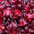 ローゼル Hibiscus Sabdariffa 3