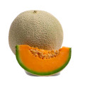 カンタロープ Cucumis Melo Var. Cantalupensis 3