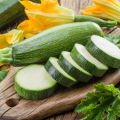 Zucchini Cucurbita Pepo 3