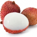 ライチ Litchi chinensis 3