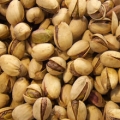 ピスタチオ Pistacia vera 3