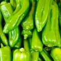 Green Pepper Capsicum annuum 3
