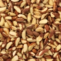 ブラジルナッツ Bertholletia Excelsa 3